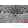 A Frame Semi Automatic Broiler Chicken Cage